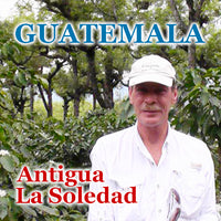 GUATEMALA-La Soledad/グアテマラ ラ・ソレダー農園