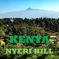 KENYA- Nyeri Hill/ケニア ニエリヒル AB