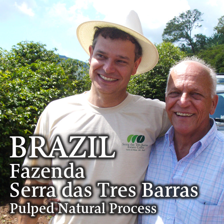 BRAZIL-Fazenda Serra das Tres Barras/ブラジル ファゼンダ セーハ ダス トレス バハス (ﾊﾟﾙﾌﾟﾄﾞﾅﾁｭﾗﾙ)