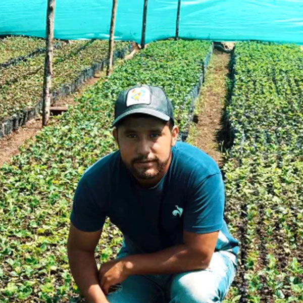 COLOMBIA- Citrus fruits quebraditas／コロンビア シトラス フルーツ ケブラディタス(ｶﾙﾁｬﾘﾝｸﾞ）