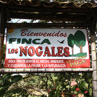 【premium】COLOMBIA-Los Nogales Chocoberry Natural／コロンビア ロス・ノガレス チョコベリー ナチュラル