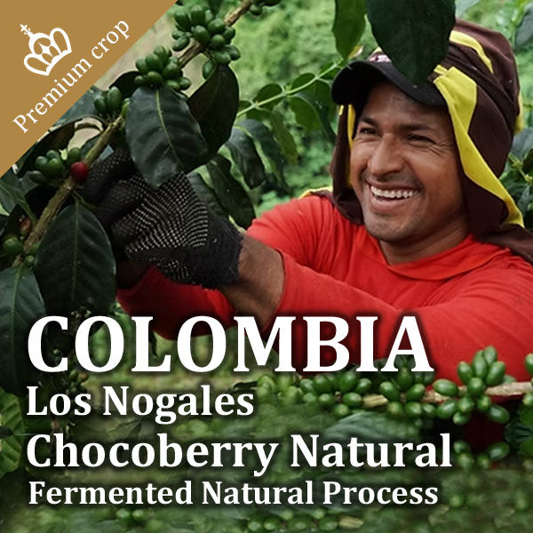 【premium】COLOMBIA-Los Nogales Chocoberry Natural／コロンビア ロス・ノガレス チョコベリー ナチュラル