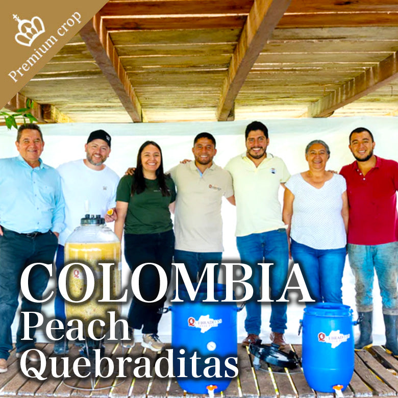 COLOMBIA- Peach quebraditas／コロンビア ピーチ ケブラディタス(ｶﾙﾁｬﾘﾝｸﾞ）