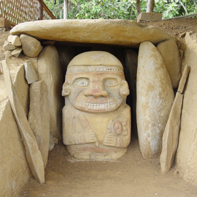 COLOMBIA- Villa Fatima Bourbon/コロンビア ヴィジャ ファティマ ブルボン