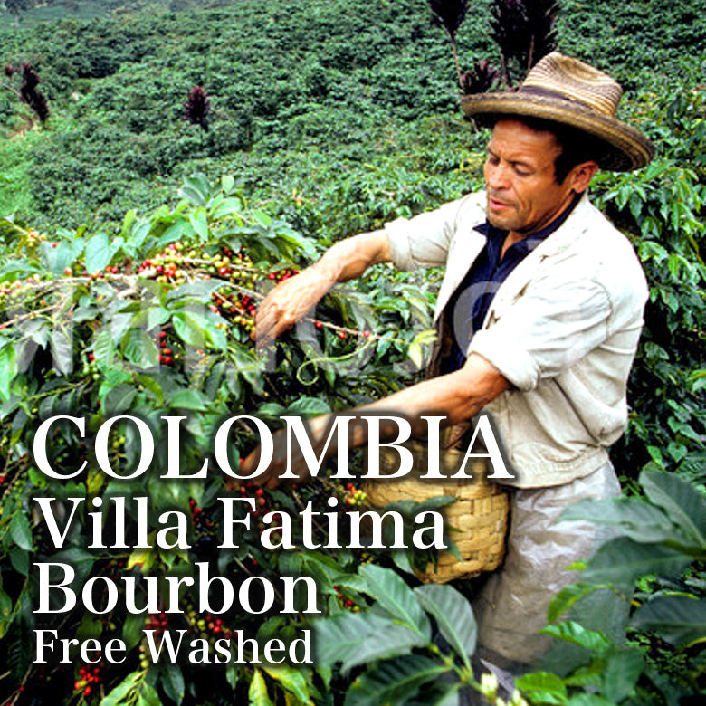 COLOMBIA- Villa Fatima Bourbon/コロンビア ヴィジャ ファティマ ブルボン