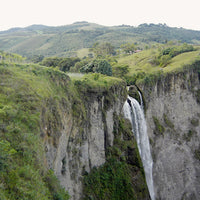 COLOMBIA- Villa Fatima Bourbon/コロンビア ヴィジャ ファティマ ブルボン