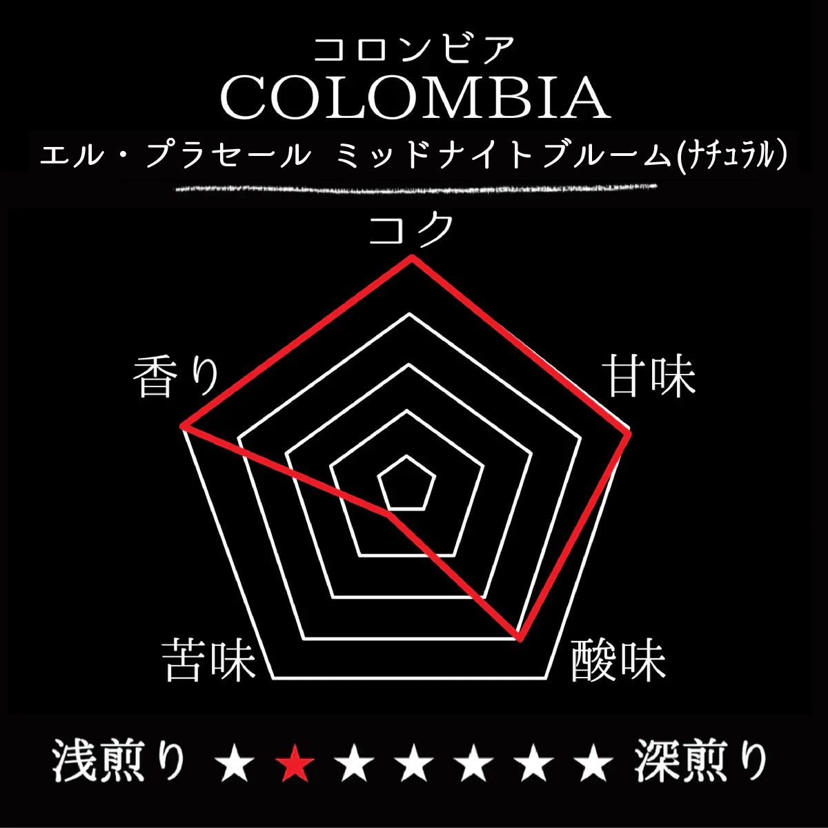 【SALE】COLOMBIA El Placer Midnight Bloom／コロンビア エル・プラセール ミッドナイトブルーム(ﾅﾁｭﾗﾙ）
