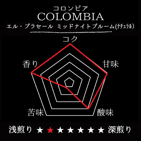 【SALE】COLOMBIA El Placer Midnight Bloom／コロンビア エル・プラセール ミッドナイトブルーム(ﾅﾁｭﾗﾙ）