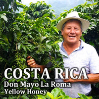COSTA RICA-Don Mayo La Roma/ コスタリカ ドン・マヨ ラ・ロマ（ｲｴﾛｰﾊﾆｰ）