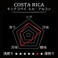 COSTA RICA-monte copey el halcon RH / コスタリカ モンテコペイ エル・アルコン（ﾚｯﾄﾞﾊﾆｰ）