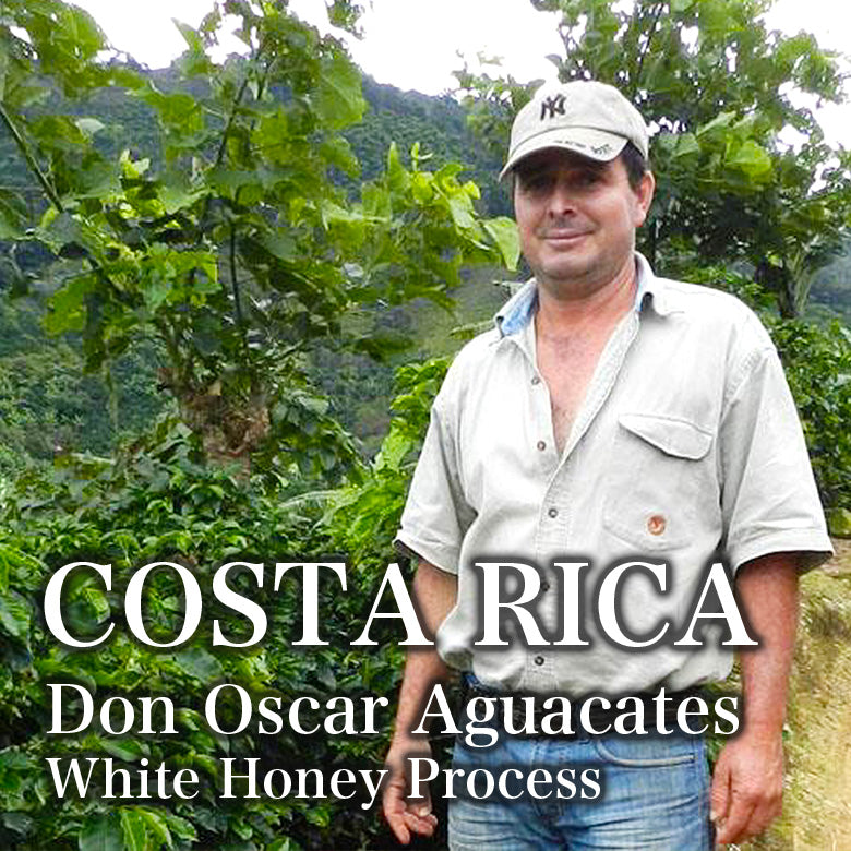 COSTA RICA-Don Oscar Aguacates/ コスタリカ ドン・オスカル・アグアカテス （ﾎﾜｲﾄﾊﾆｰ）