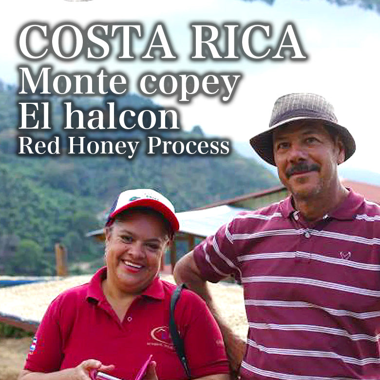 COSTA RICA-monte copey el halcon RH / コスタリカ モンテコペイ エル・アルコン（ﾚｯﾄﾞﾊﾆｰ）