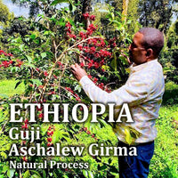 ETHIOPIA- Guji Aschalew Girma / エチオピア グジ アシャレウ・ギルマ(ﾅﾁｭﾗﾙ）