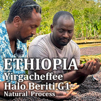 ETHIOPIA- Yirgacheffee Halo Beriti G1 / エチオピア イルガチェフェ  ハロ ベリティ G1(ﾅﾁｭﾗﾙ）