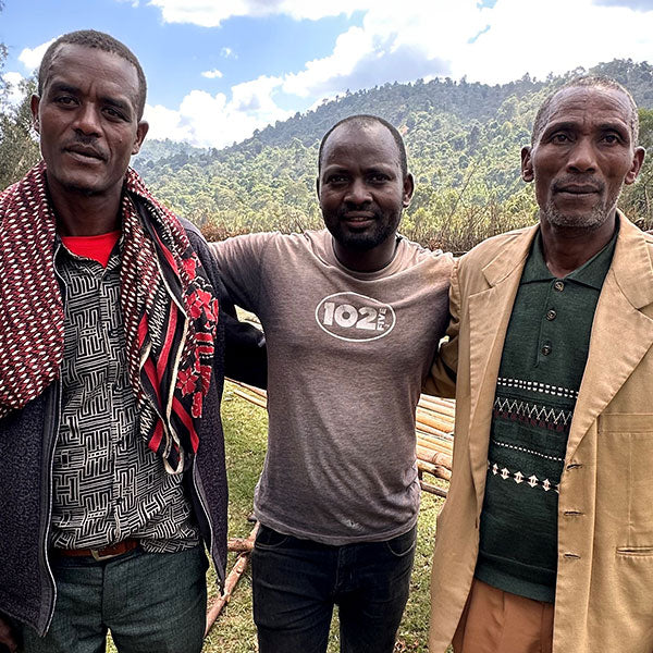ETHIOPIA- Yirgacheffee Halo Beriti G1 / エチオピア イルガチェフェ  ハロ ベリティ G1(ﾅﾁｭﾗﾙ）