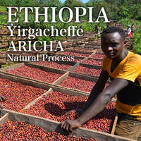 ETHIOPIA- Yirgacheffe ARICHA G1 / エチオピア イルガチェフェ アリチャG1(ﾅﾁｭﾗﾙ）
