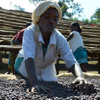 ETHIOPIA- Yirgacheffe ARICHA G1 / エチオピア イルガチェフェ アリチャG1(ﾅﾁｭﾗﾙ）