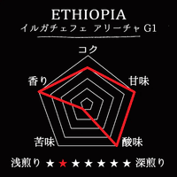ETHIOPIA- Yirgacheffe ARICHA G1 / エチオピア イルガチェフェ アリチャG1(ﾅﾁｭﾗﾙ）