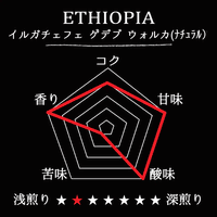 ETHIOPIA- Yirgacheffee Gedeb Worka G1 / エチオピア イルガチェフェ ゲデブ ウォルカ G1(ﾅﾁｭﾗﾙ）