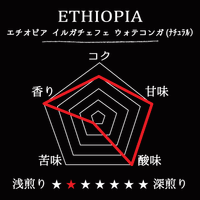 ETHIOPIA- Yirgacheffe Wote Konga/ エチオピア イルガチェフェ ウォテコンガ(ﾅﾁｭﾗﾙ）