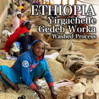 ETHIOPIA- Yirgacheffe gedeb worka G1/ エチオピア イルガチェフェ  ゲデブ ウォルカ(ｳｫｯｼｭﾄ）