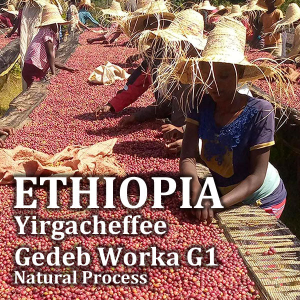 ETHIOPIA- Yirgacheffee Gedeb Worka G1 / エチオピア イルガチェフェ ゲデブ ウォルカ G1(ﾅﾁｭﾗﾙ）