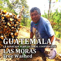 GUATEMALA-LA ASANCION AGRICULTURAL COOPERATIVE　LAS MORAS/グアテマラ・ラ・アサンシオン農協　ラス・モラス