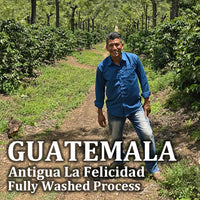 GUATEMALA-Antigua La Felicidad/グアテマラ アンティグア ラ・フェリシダー(ﾌﾘｰｳｫｯｼｭﾄﾞ）