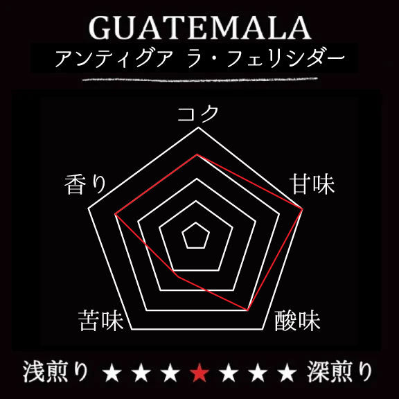 GUATEMALA-Antigua La Felicidad/グアテマラ アンティグア ラ・フェリシダー(ﾌﾘｰｳｫｯｼｭﾄﾞ）