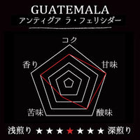 GUATEMALA-Antigua La Felicidad/グアテマラ アンティグア ラ・フェリシダー(ﾌﾘｰｳｫｯｼｭﾄﾞ）