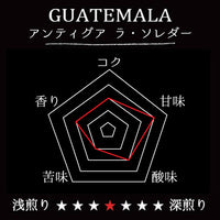 GUATEMALA-Antigua La soledad/グアテマラ アンティグア ラ・ソレダー(ﾌﾘｰｳｫｯｼｭﾄﾞ）
