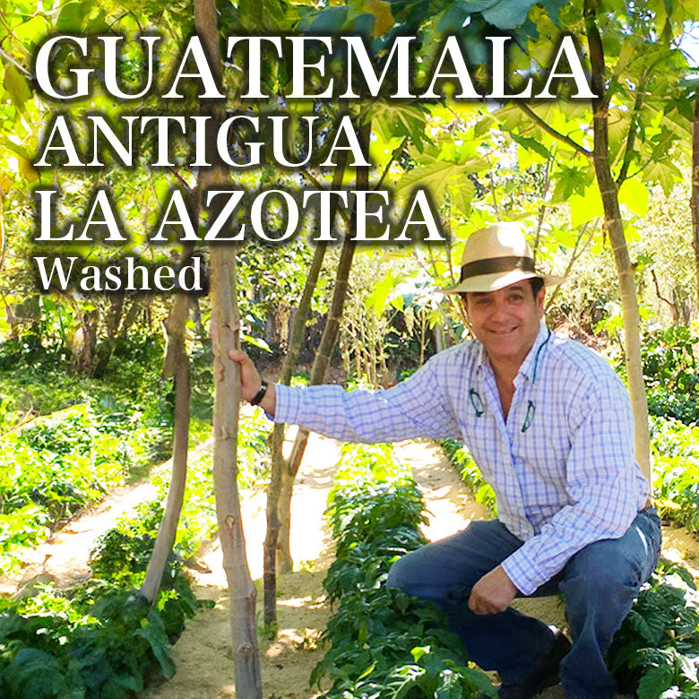 GUATEMALA-ANTIGUA LA AZOTEA/グアテマラ・アンティグア アゾテア