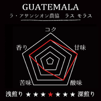 GUATEMALA-LA ASANCION AGRICULTURAL COOPERATIVE　LAS MORAS/グアテマラ・ラ・アサンシオン農協　ラス・モラス