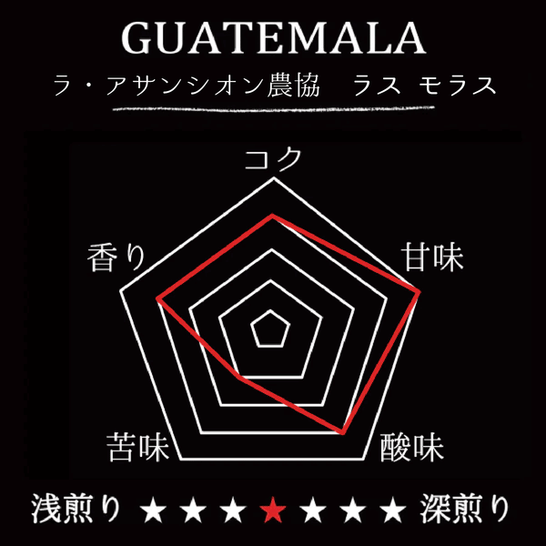 GUATEMALA-LA ASANCION AGRICULTURAL COOPERATIVE　LAS MORAS/グアテマラ・ラ・アサンシオン農協　ラス・モラス