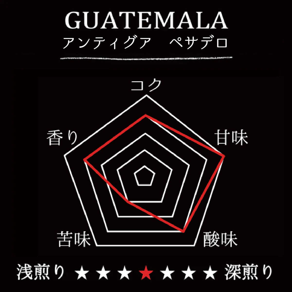 GUATEMALA-ANTIGUA EL PESADERO/グアテマラ・エル・ペサデロ