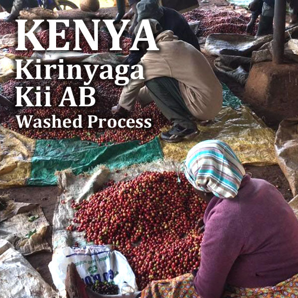 KENYA- Kirinyaga Kii AB /ケニア キリニャガ キイ AB　