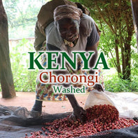 KENYA- Chorongi /ケニア チョロンギ AB