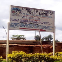 KENYA- Kirinyaga Karimikui AB /ケニア キリニャガ カリミクイ AB