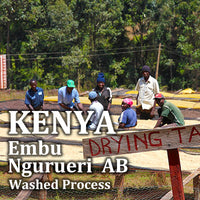KENYA- Embu Ngurueri  AB/ケニア エンブ ングヌエリ AB