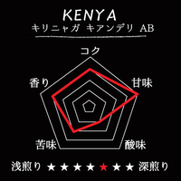 KENYA- Kirinyaga Kianderi AB /ケニア キリニャガ キアンデリ AB