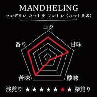 MANDHELING-Sumatra Lintong/マンデリン スマトラ リントン