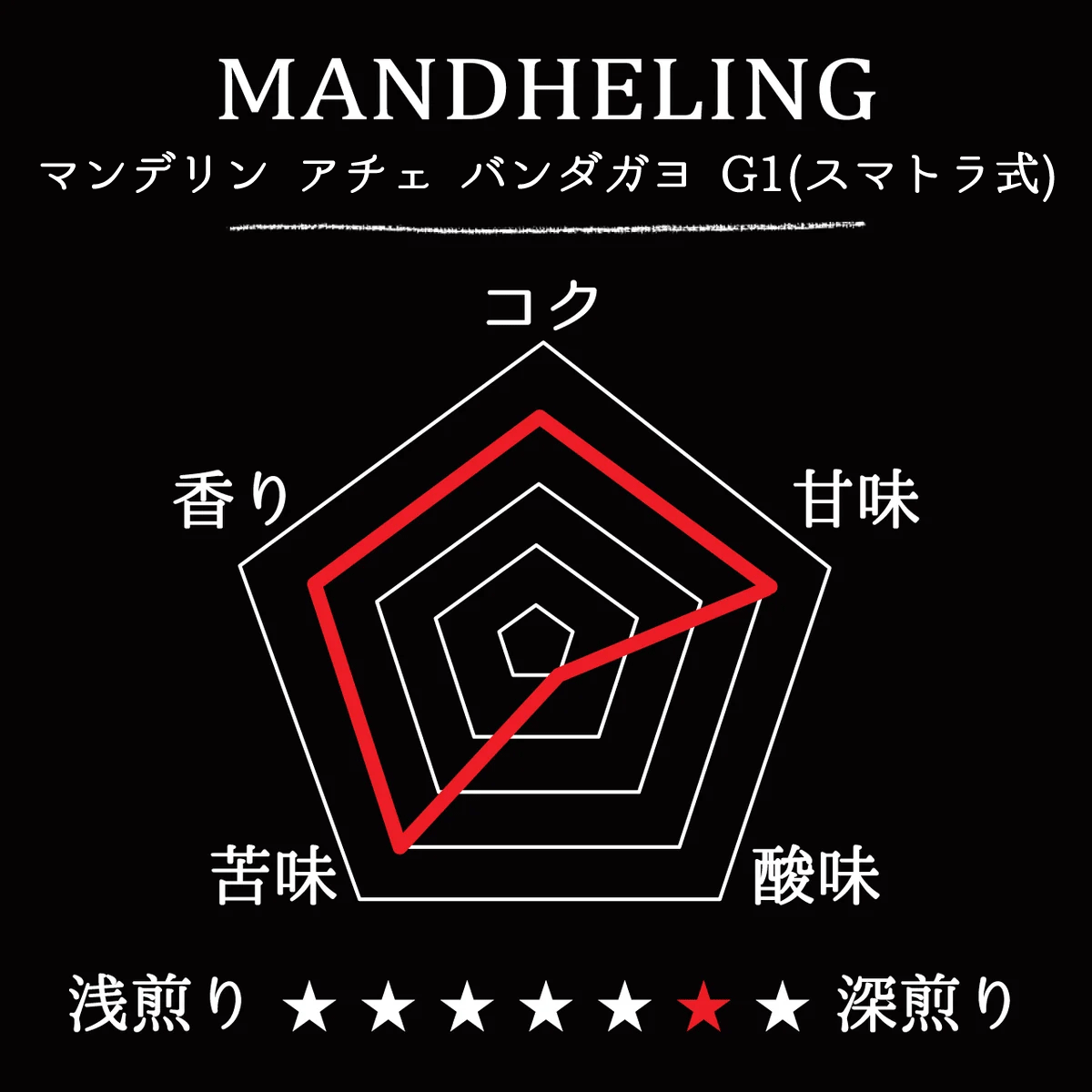 MANDHELING-Aceh banda gayo G1/マンデリン アチェ バンダガヨ G1