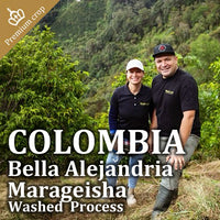 COLOMBIA- Bella Alejandria Marageisha／コロンビア ベジャ アレハンドリア マラゲシャ(ｳｫｯｼｭﾄ）