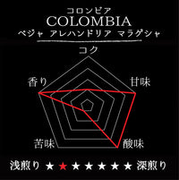 COLOMBIA- Bella Alejandria Marageisha／コロンビア ベジャ アレハンドリア マラゲシャ(ｳｫｯｼｭﾄ）
