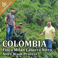 COLOMBIA- Finca Milan Caturra Nitro／コロンビア フィンカ ミラン カトゥーラ ナイトロ(ｳｫｯｼｭﾄ）