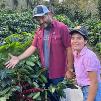 【SALE】PANAMA - Moreno Coffee Farm Catigua Washed／パナマ - モレノ・コーヒー・ファーム カティグア(ｳｫｯｼｭﾄ）