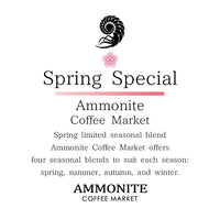 Spring Special/スプリングスペシャル